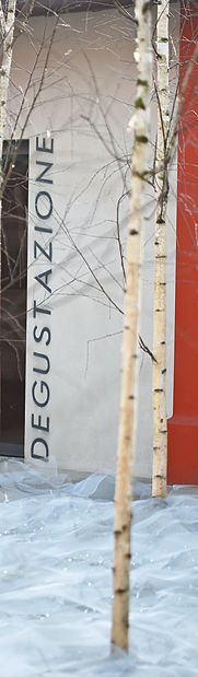 Allestimenti esterni_BagnoloMella_Anno 2008